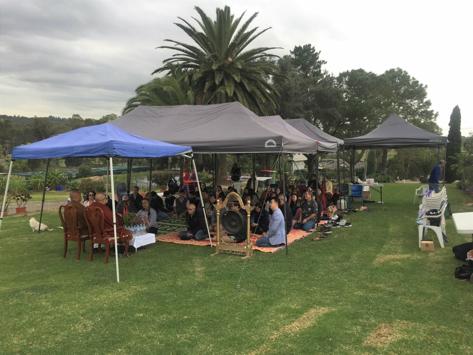 7d634305-7ddb-48dd-9624-03337f5b8828