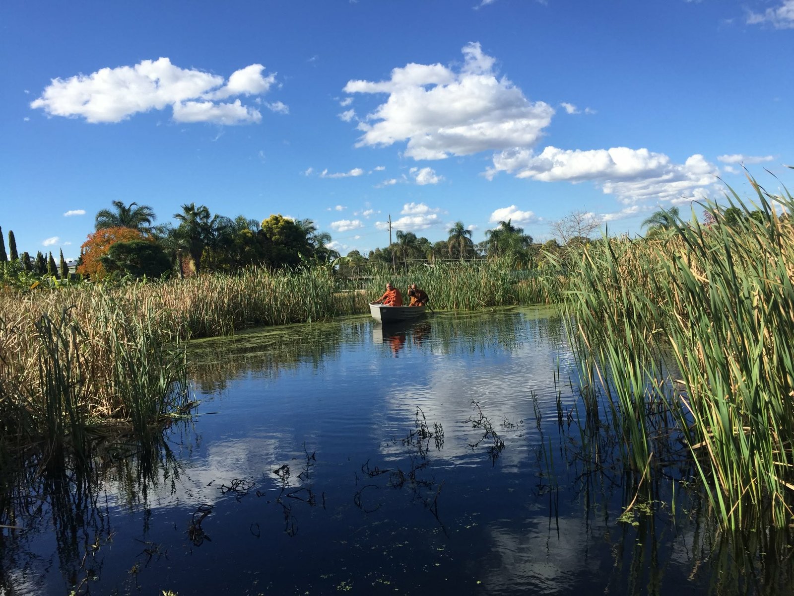 b0d97dac-da16-4b67-aa5a-46dbfdd77342