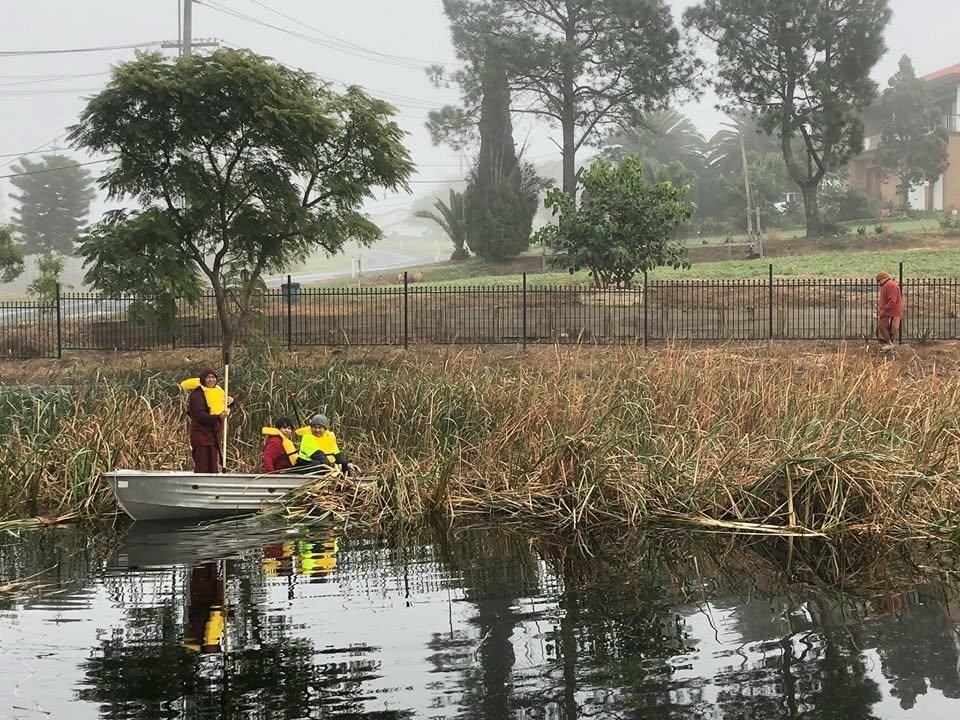 bf95452f-4a7c-4bf6-bfe7-956ae9732191